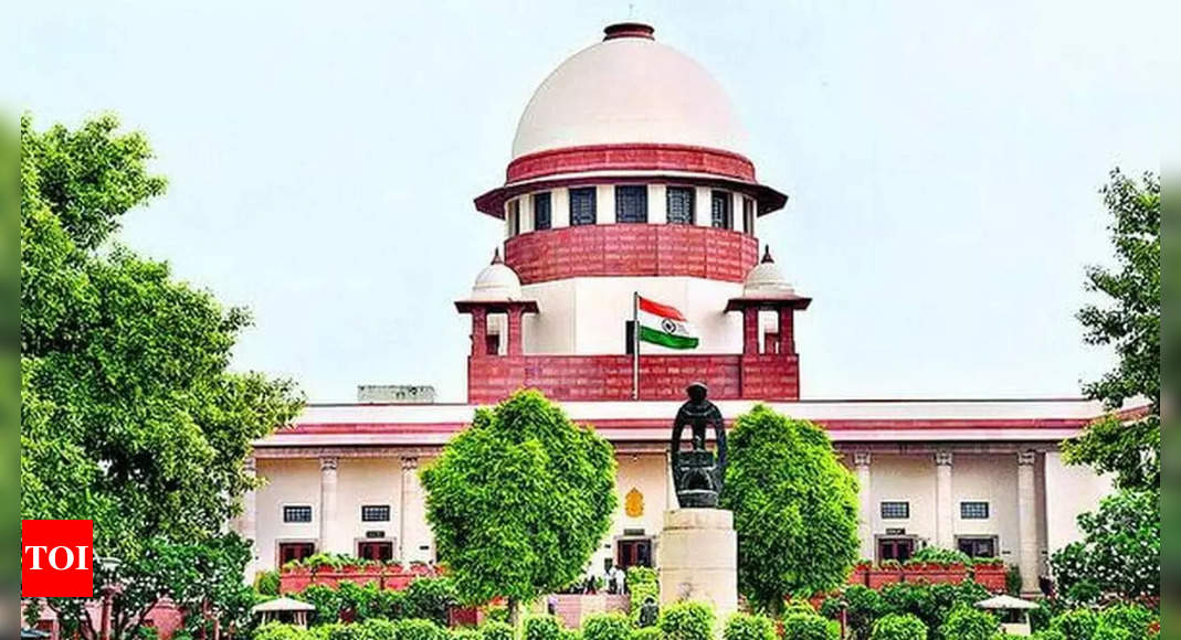 Vacation courts should be for juniors, SC tells top lawyers | India News