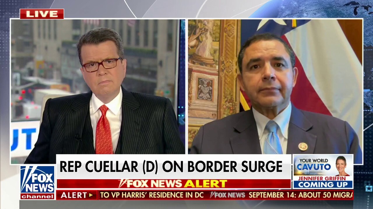 Rep. Cuellar on southern border crisis: No one was listening to the border communities 'for years'
