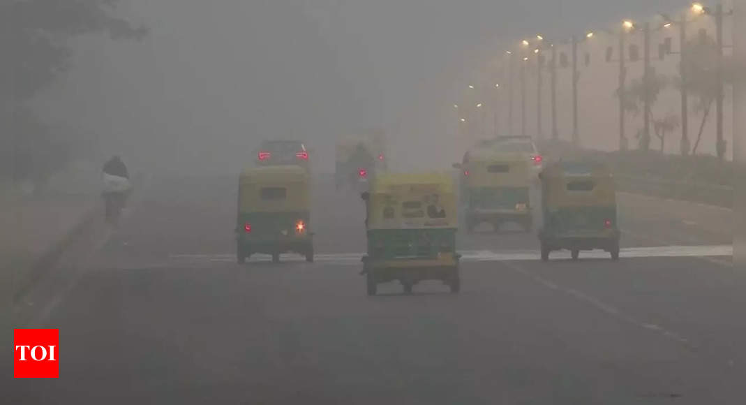 Delhi-NCR weather update: Dense fog makes highways unsafe | Delhi News